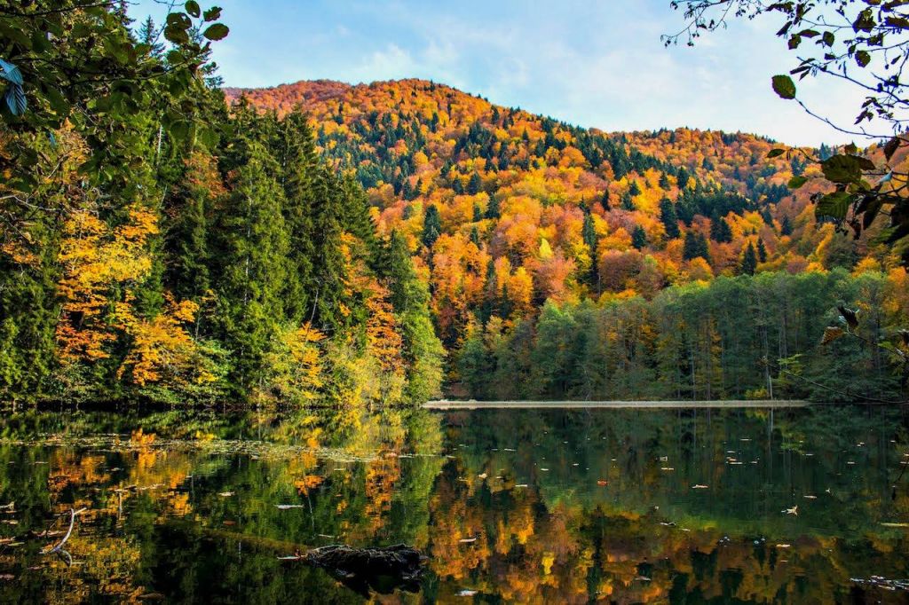 შემოდგომა ბატეთის ტბაზე - დღიანი ტური