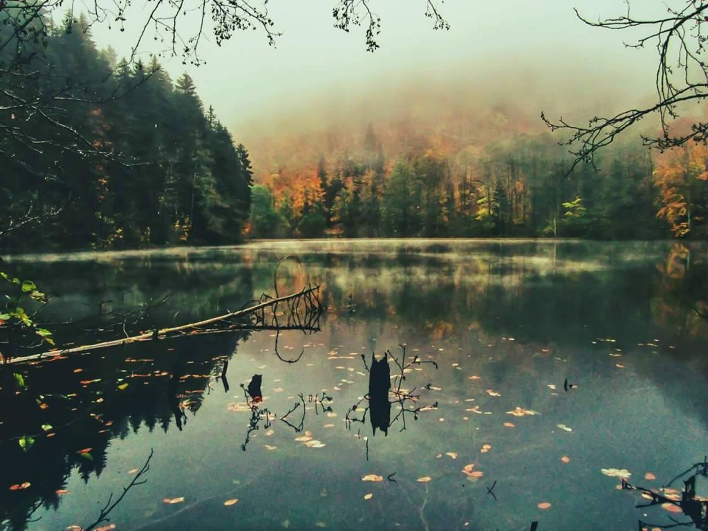 შემოდგომა ბატეთის ტბაზე - დღიანი ტური