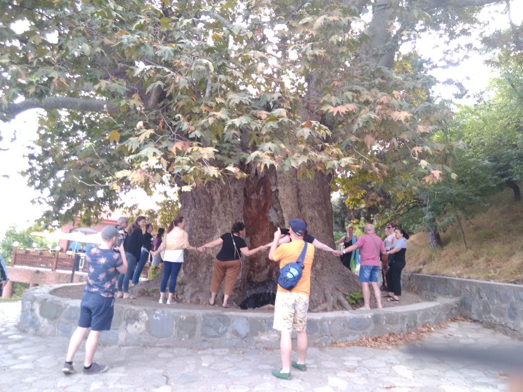 შუამთის მონასტერი, თელავი, წინანდალი, ალავერდი, გრემი, ლოპოტას ტბა, ნეკრესი...