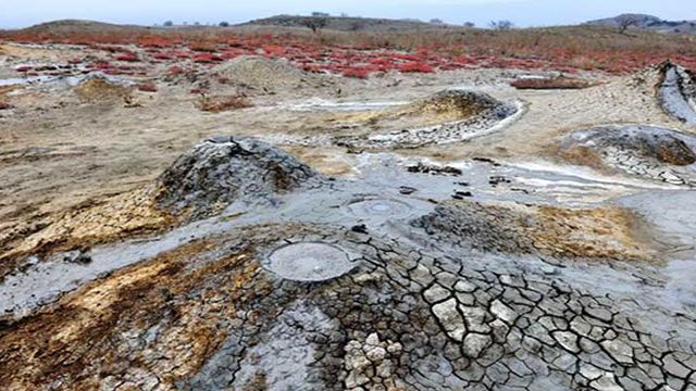 ეგზოტიკური ტური კახეთში