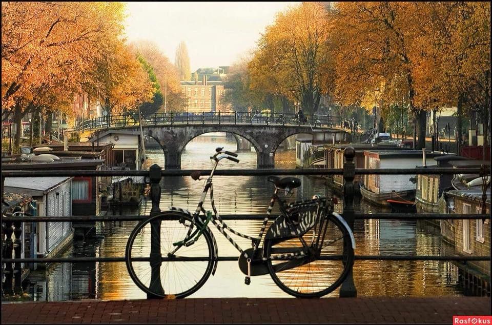 შემოდგომა ამსტერდამში