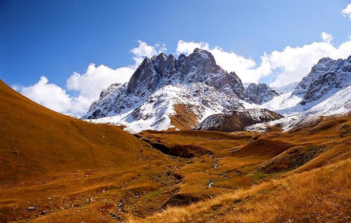 ნოემბერი ტური ჯუთაში