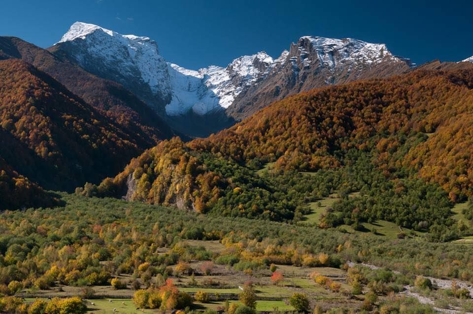 ტური ულამაზეს შოვში