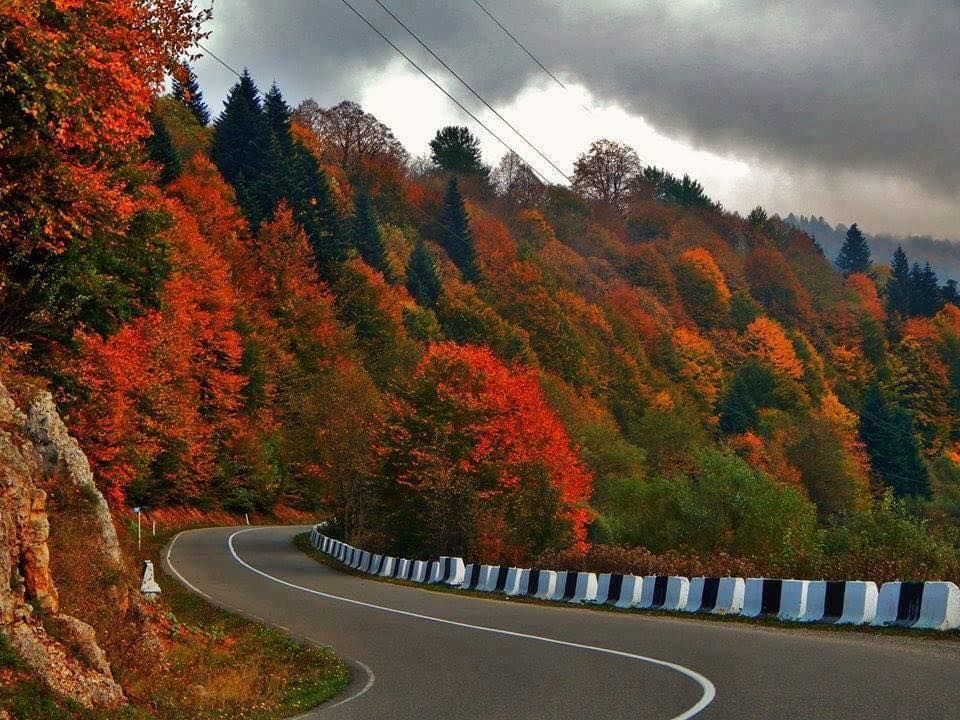 ტური ულამაზეს შოვში