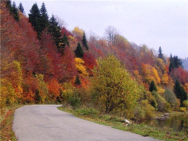 ტური ულამაზეს შოვში