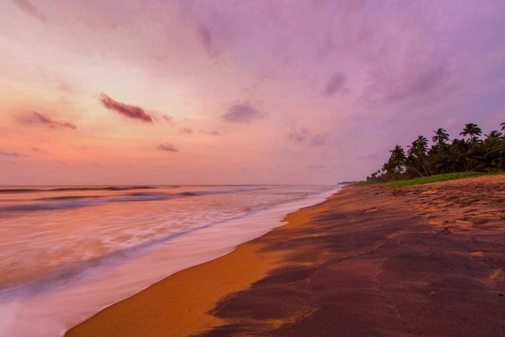 Sri Lanka (სრული პაკეტი ლ-დან)