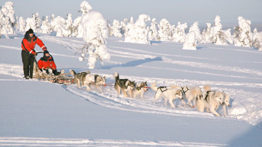 ახალი წელი ლაპლანდიაში