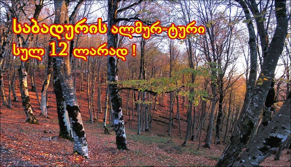 საბადურ-თიანეთის ზღაპარ-ტური ! სულ ! ყველაზე დაბალ ფასად !