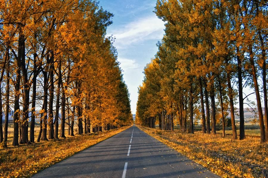 საბადურ-თიანეთის ზღაპარ-ტური ! სულ ! ყველაზე დაბალ ფასად !