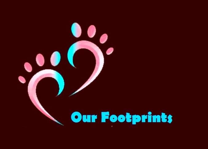 ტურისტული გიდის კურსები დასაქმებით 