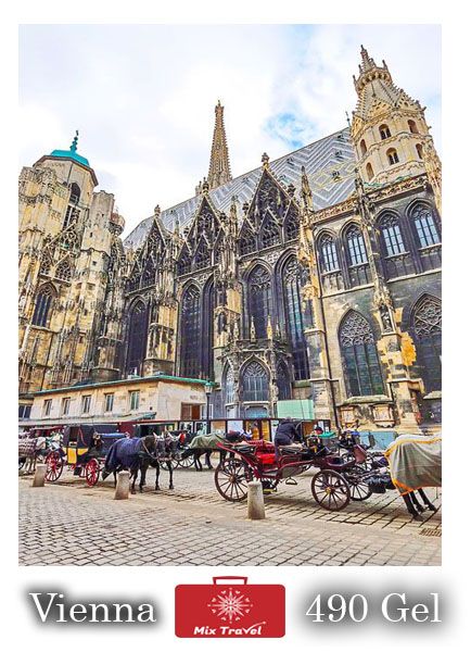 დღის აქცია ვენის საგზურზე <