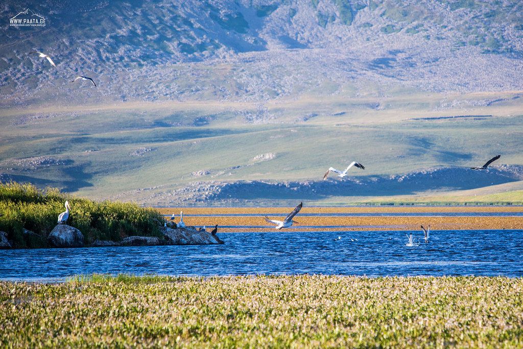 ეგზოტიკური ტური ჯავახეთში