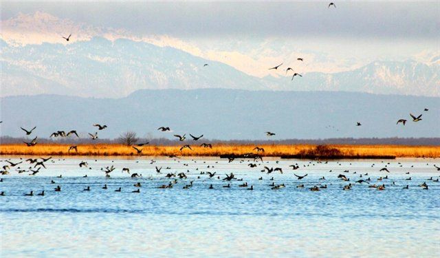 ეგზოტიკური ტური ჯავახეთში