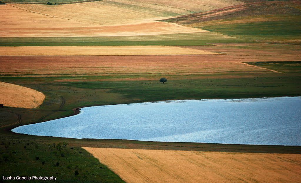 ნადარბაზევის ტბა - უფლისციხე- ქართლის ჭრელი მინდვრები