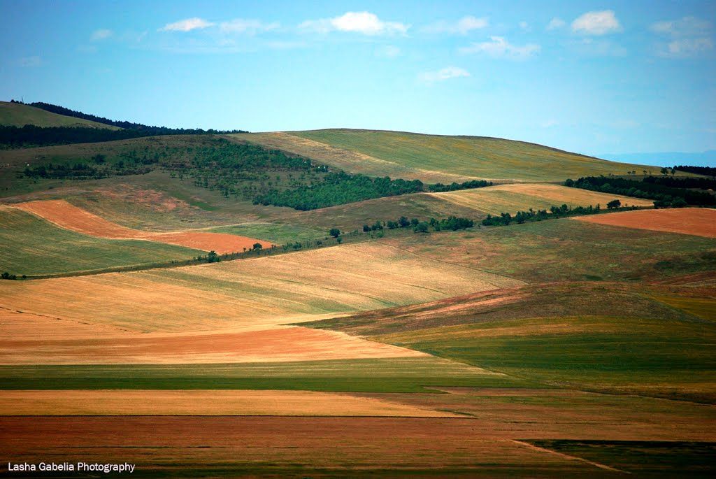 ნადარბაზევის ტბა - უფლისციხე- ქართლის ჭრელი მინდვრები