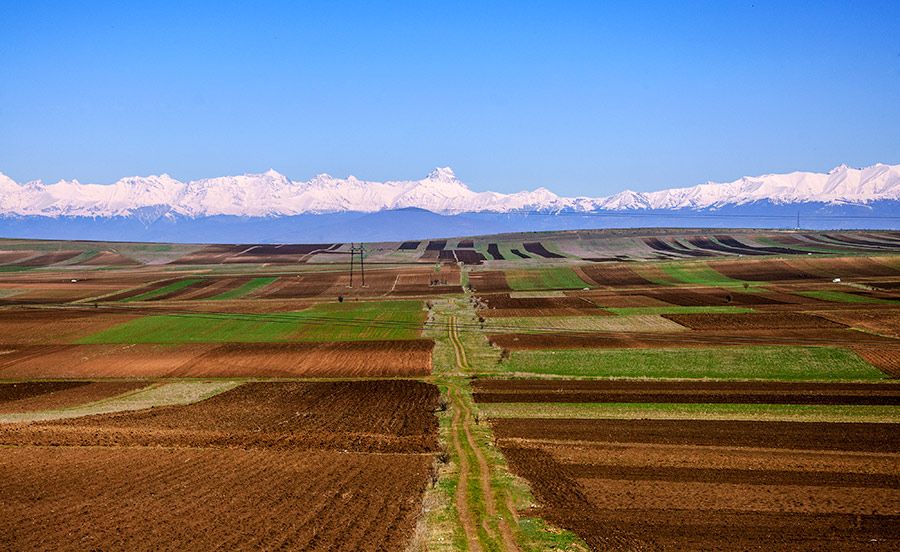 ნადარბაზევის ტბა - უფლისციხე- ქართლის ჭრელი მინდვრები