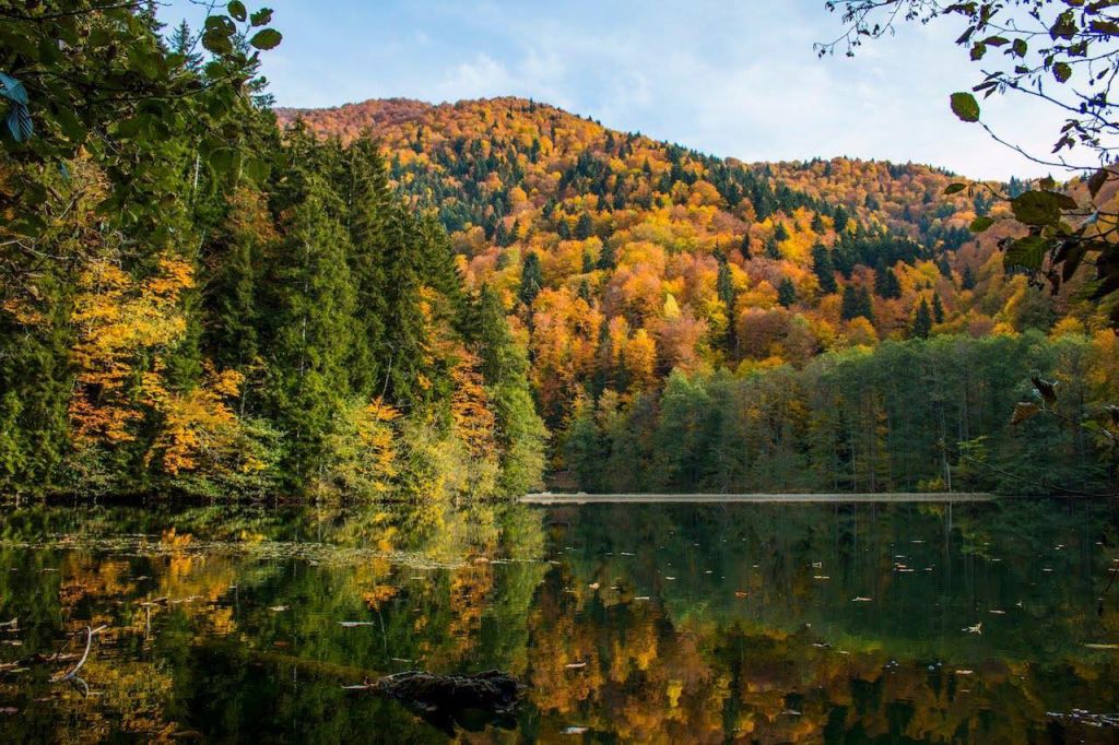 ბატეთის ტბა / ძამას ხეობა