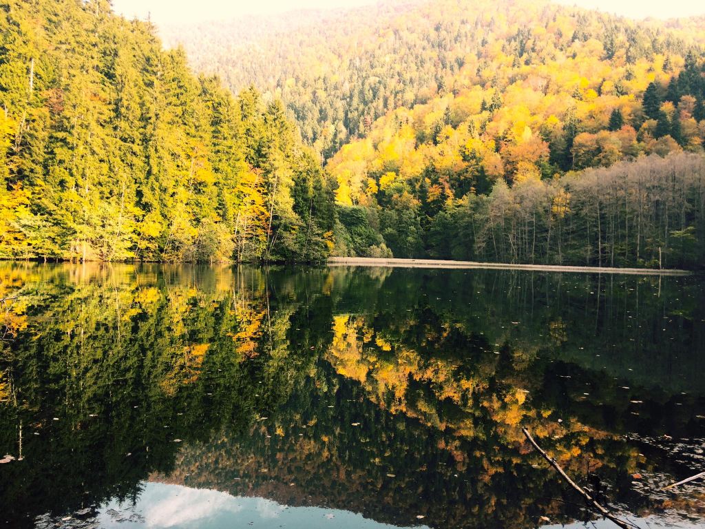 ბატეთის ტბა / ძამას ხეობა