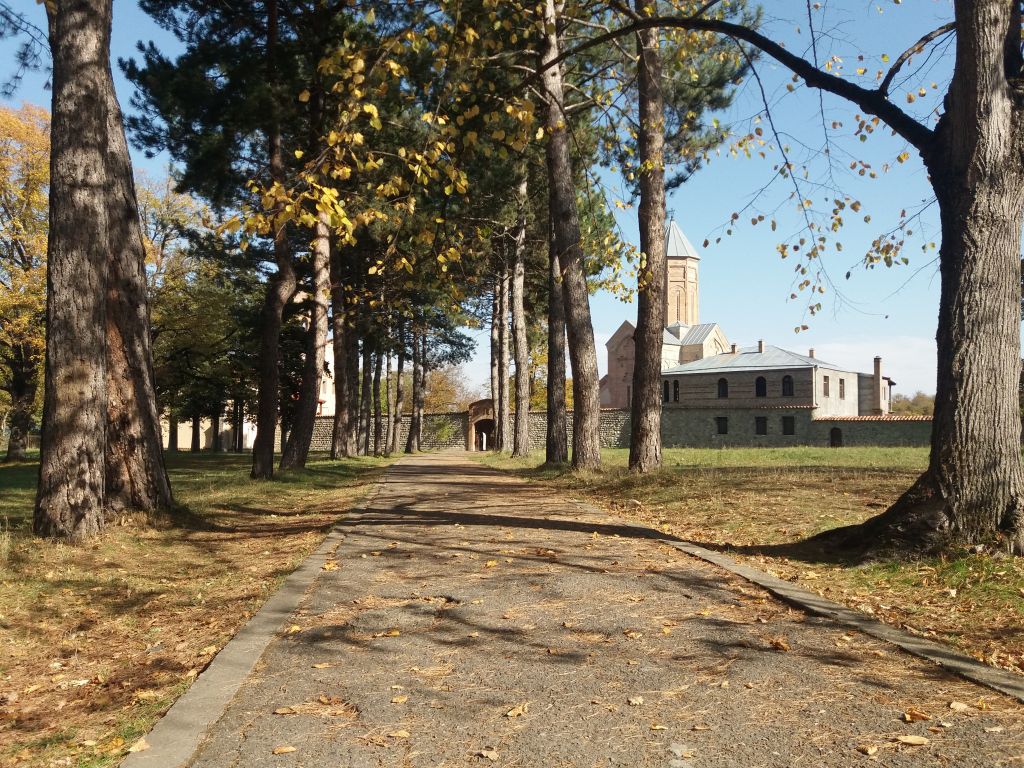 ერთ დღიანი ტური კახეთში