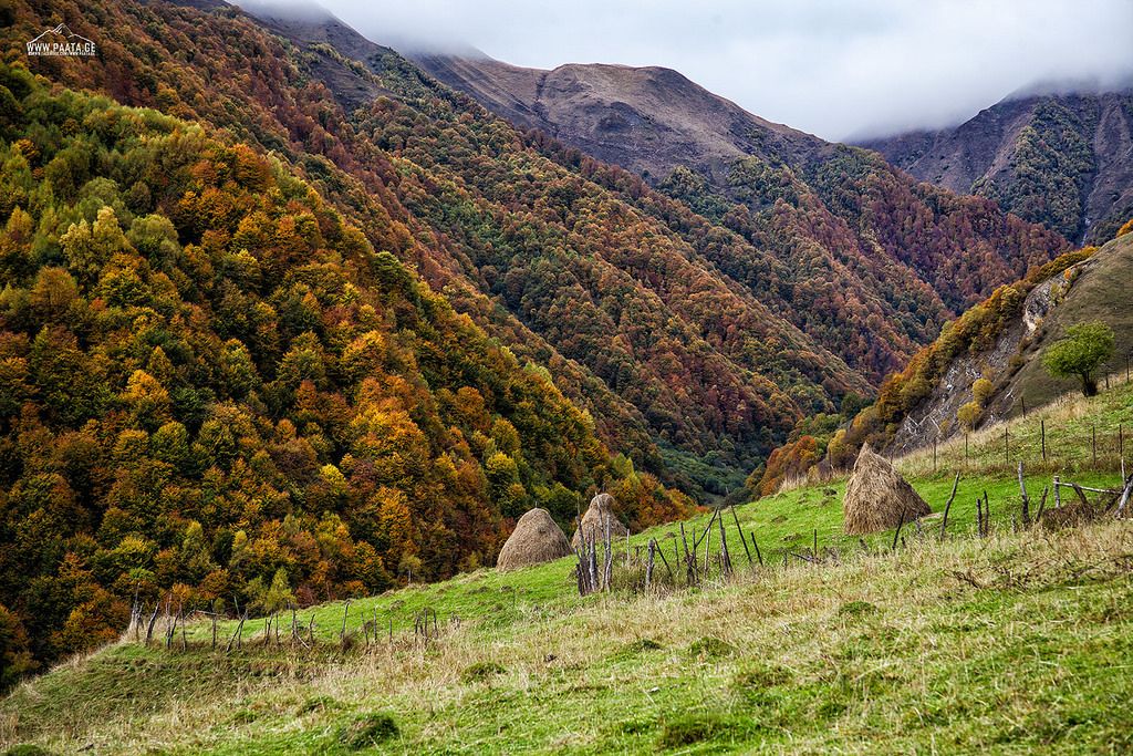 ტური გუდამაყარში