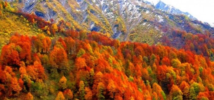 რაჭა შემოდგომის ფერებით - ნოემბერი