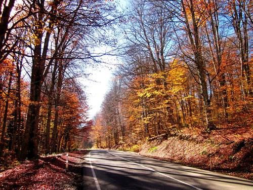 რაჭა შემოდგომის ფერებით - ნოემბერი