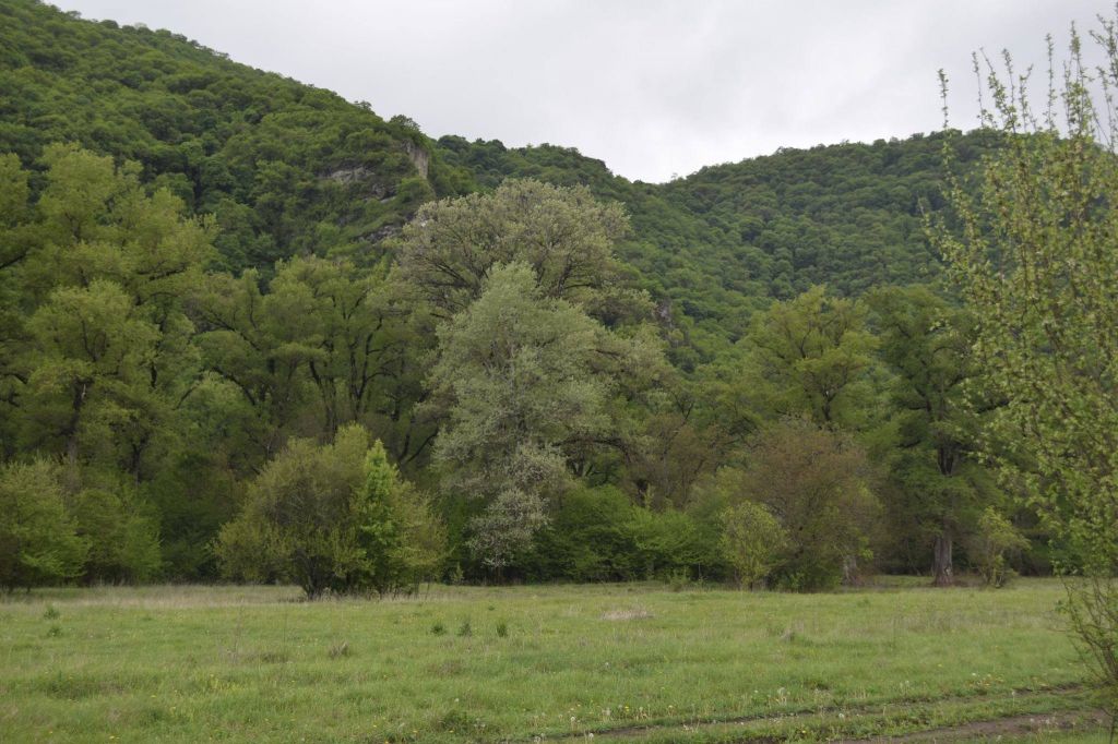 ბოლნისის სიონი, ხულუტის ციხე-სიმაგრე, ფიტარეთის მამათა მონასტერი