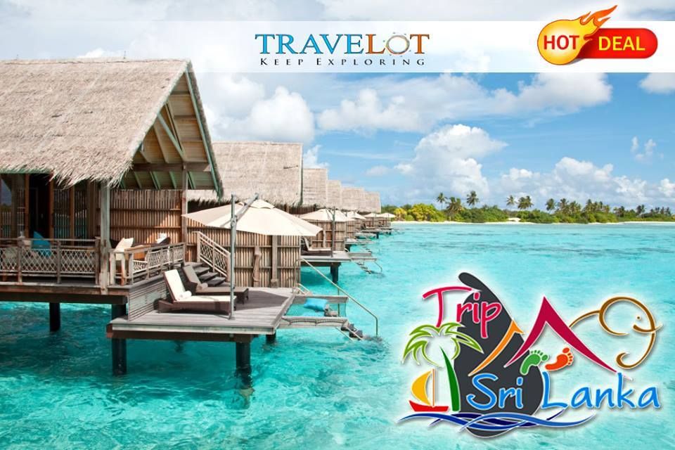 გთავაზობთ სასიამონო შეთავაზებას შრი ლანკის მიმართულებით