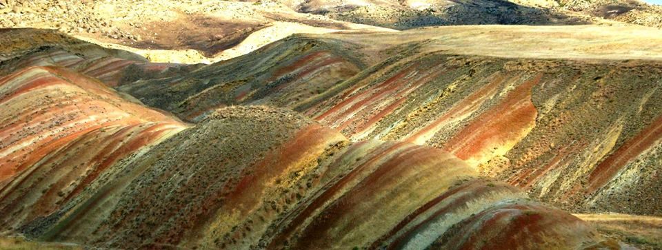 გარეჯ-მანავ-ნინოწმინდის პიკნიკ-ტური ! სულ  ! ! !  ლარად ! ! !   იჩქარეთ !  სულ რამოდენიმე ადგილი !