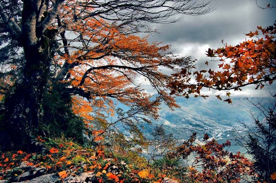 რაჭის დღიანი ტური . ბოლო ლოკაცია შოვი ♥