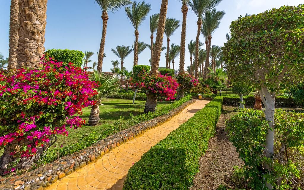 დაისვენეთ ჰურგადაში ყველაზე დაბალ ფასად!