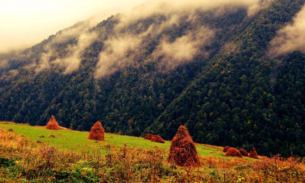 ტური ფერად გუდამაყარში - ოქტომბერი (კვირა)