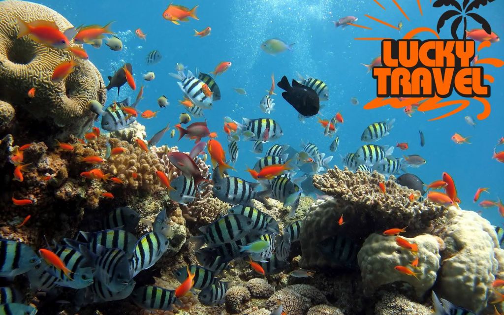 солнечный египет