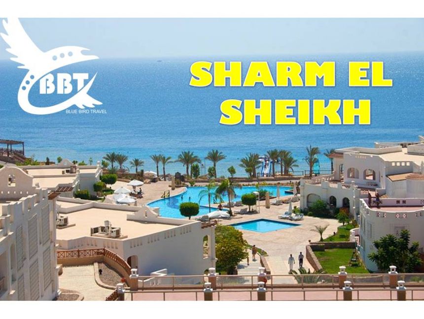 შარმ ელ შეიხი! სალიკვიდაციო ფასების აქცია!