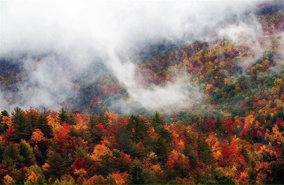 შემოდგომისფერი რაჭა