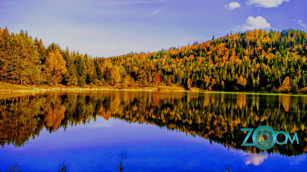 კახისის ტბა - წეროს ტბა ZooM-ში