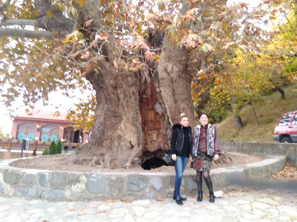 შუამთის მონასტერი,თელავი, წინანდალი, გრემი, ნეკრესი,ილიას ტბა...