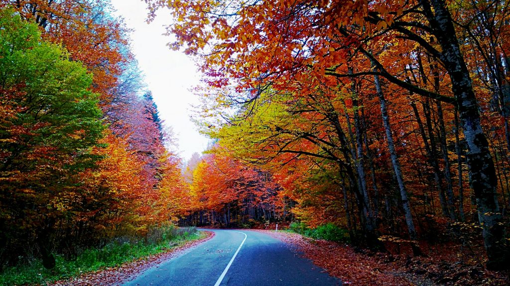 შემოდგომა რაჭაში . განმეორებით.