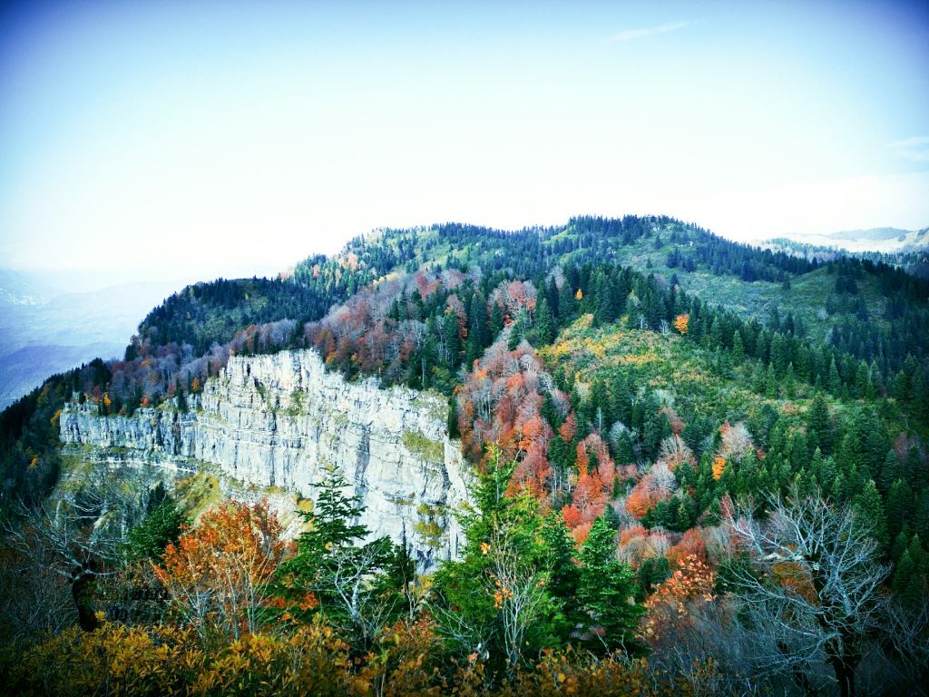 შემოდგომა რაჭაში . განმეორებით.