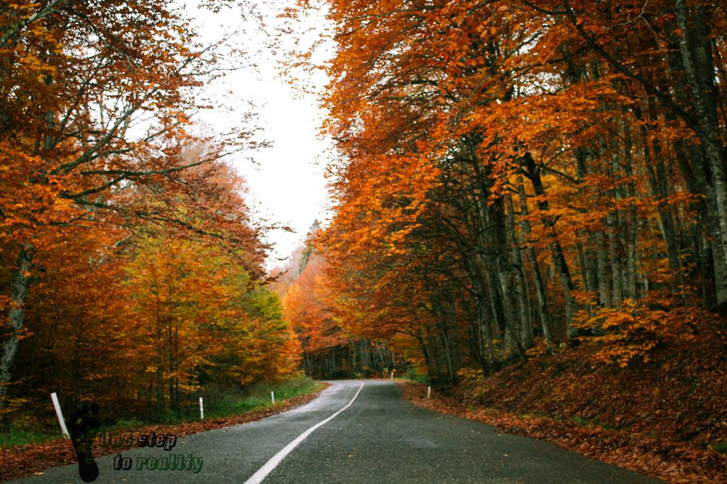 შემოდგომა რაჭაში . განმეორებით.