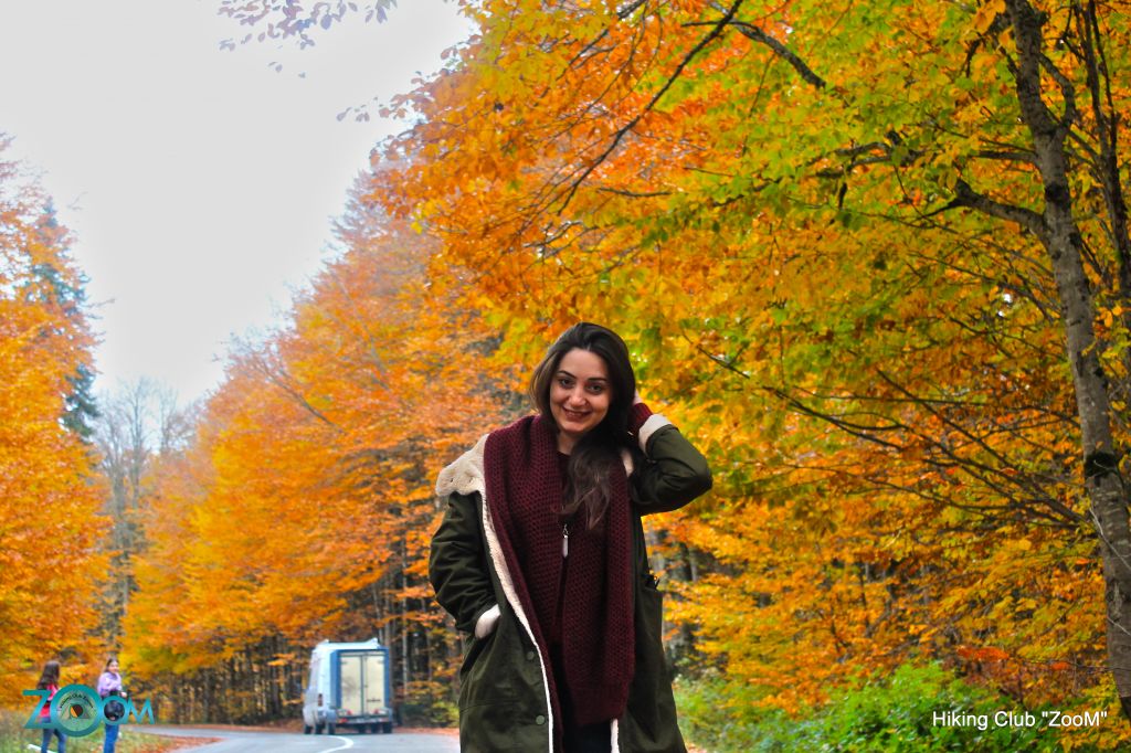 შემოდგომისფერი რაჭა ZooM-ში