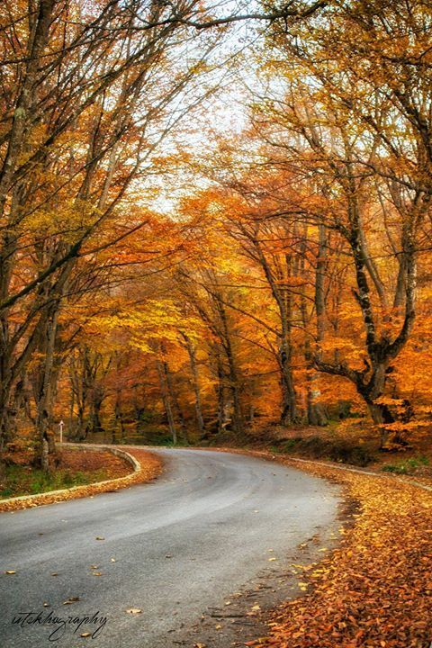 კახეთის სულ სხვა ტური ! < სულ ლ ა რ ი ! ვაჩნაძიანი ! წინანდალი ! შუამთა ! უჯარმა ! სულ ადგილი !