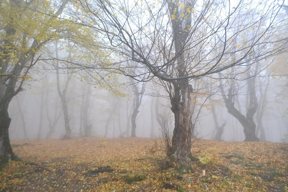 კახეთის სულ სხვა ტური ! < სულ   ლ ა რ ი ! ვაჩნაძიანი ! წინანდალი ! შუამთა ! უჯარმა ! სულ  ადგილი !