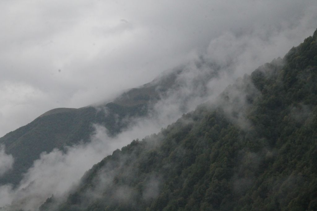 გუდამაყარი ნოემბერს <