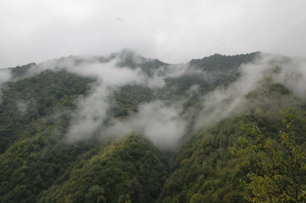 გუდამაყარი ნოემბერს <