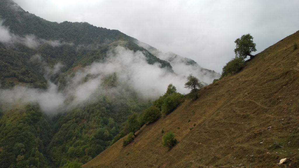 გუდამაყარი ნოემბერს <