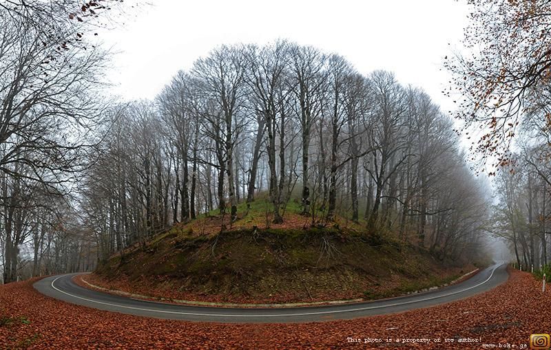 საბადურ-ბოჭორმ ზღაპარ-ტური ლ ! + სიონის წყ საყდრიონი, პიკნიკი
