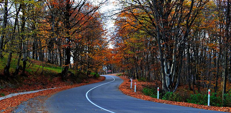 საბადურ-ბოჭორმ ზღაპარ-ტური ლ ! + სიონის წყ საყდრიონი, პიკნიკი