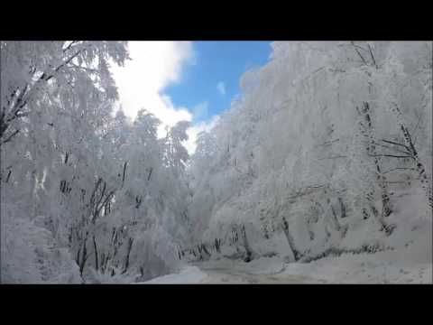 თოვლიანი საბადურის ტყე