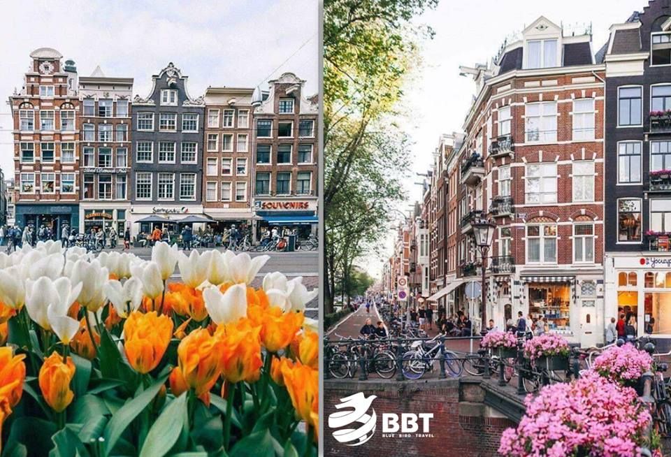 დაუვიწყარი მოგზურობა ბრიუსელიდან ბრიუგემდე და კულმინაცია - ამსტერდამში.